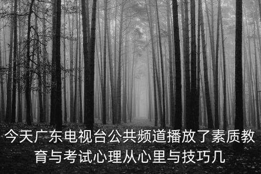廣東公共頻道，請問有人看過廣東衛視公共頻道的dv現場么我想知道里面的夏日送清