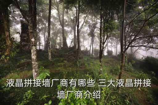 液晶拼接墻廠商有哪些 三大液晶拼接墻廠商介紹