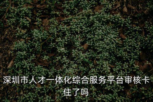 深圳市人才一體化綜合服務平臺審核卡住了嗎