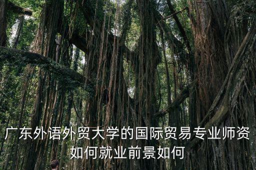 廣東外語外貿大學國際學院，廣外的國際學院怎么樣