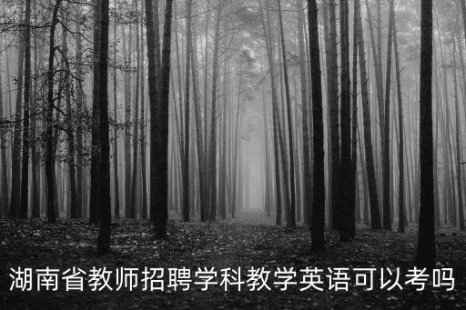 湖南省教師招聘學科教學英語可以考嗎