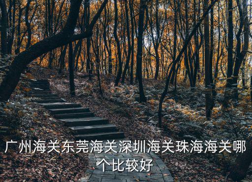 廣州海關(guān)東莞海關(guān)深圳海關(guān)珠海海關(guān)哪個比較好