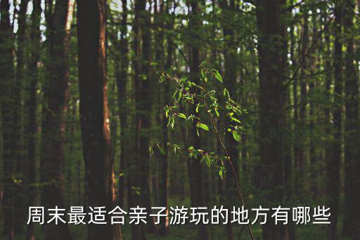 周末最適合親子游玩的地方有哪些