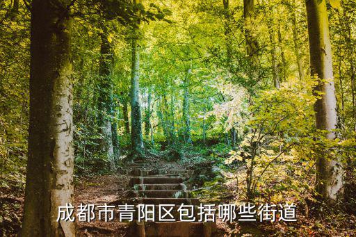 成都市青陽區包括哪些街道