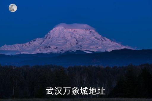 武漢萬象城地址