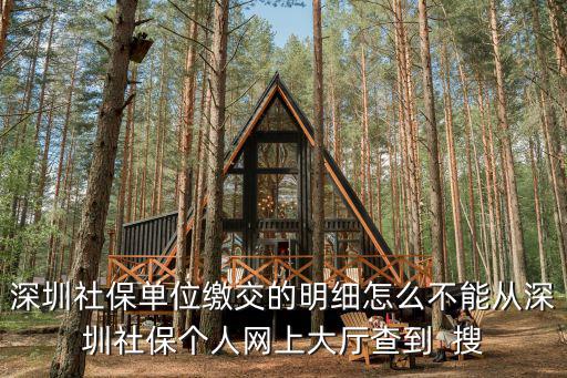 深圳社保單位繳交的明細怎么不能從深圳社保個人網上大廳查到  搜
