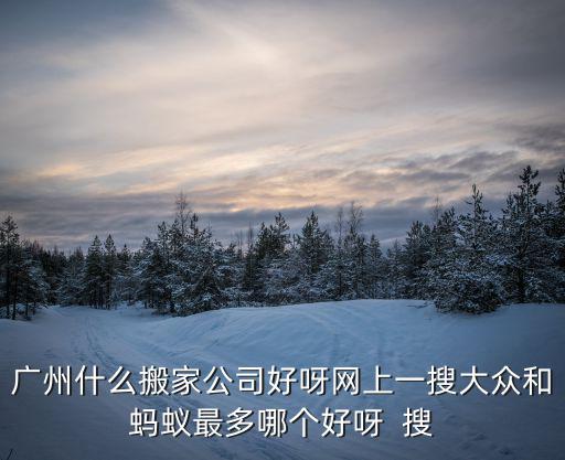 廣州什么搬家公司好呀網上一搜大眾和螞蟻最多哪個好呀  搜