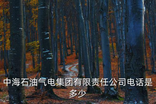 中海石油氣電集團有限責任公司電話是多少