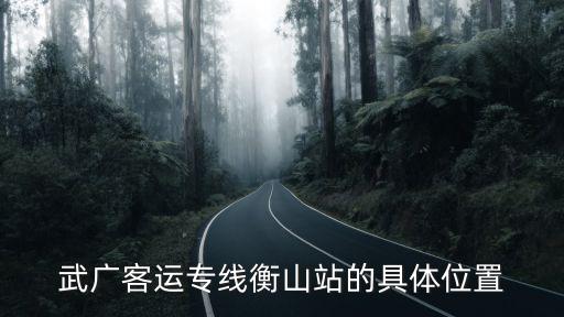 武廣客運專線衡山站的具體位置