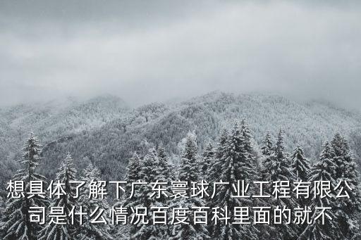 想具體了解下廣東寰球廣業工程有限公司是什么情況百度百科里面的就不