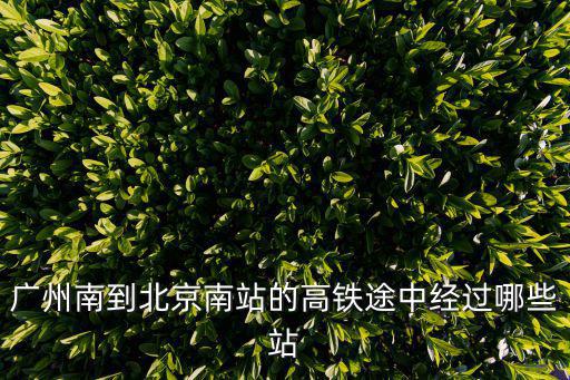 廣州到北京高鐵，廣州去北京不坐飛機(jī)可以坐高鐵嗎高鐵怎么去
