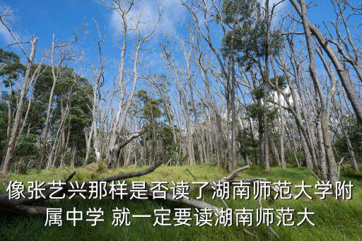像張藝興那樣是否讀了湖南師范大學附屬中學 就一定要讀湖南師范大