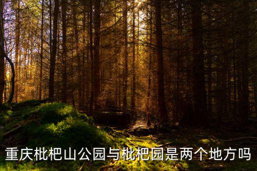 重慶枇杷山公園與枇杷園是兩個地方嗎
