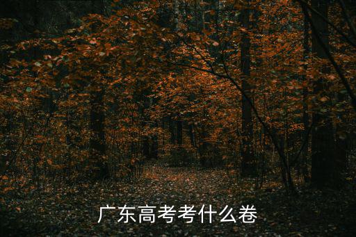 廣東高考考什么卷