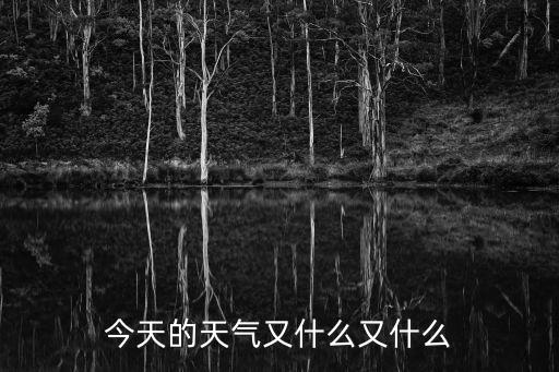 今天的天氣又什么又什么