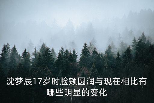 沈夢辰整容前，沈夢辰整容之前好看嗎他的老公是誰他有孩子了嗎