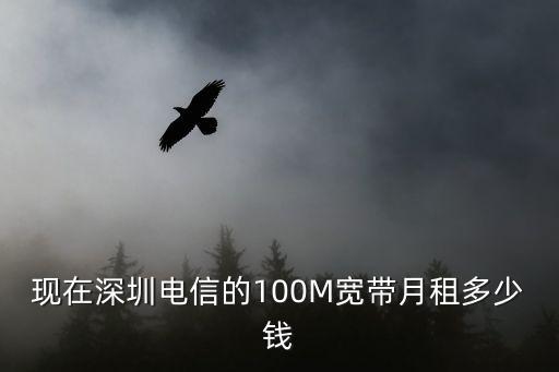 現(xiàn)在深圳電信的100M寬帶月租多少錢