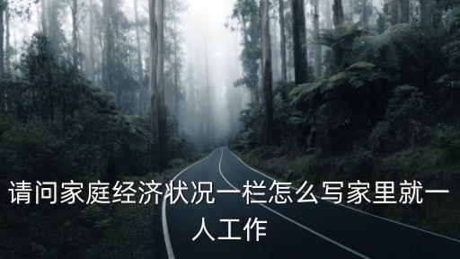 請問家庭經濟狀況一欄怎么寫家里就一人工作