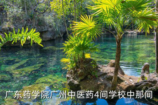 廣東藥學院分數線，廣東藥學院廣州中醫藥4間學校中那間