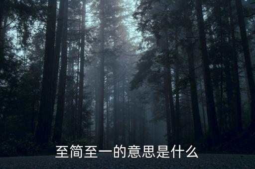 至簡(jiǎn)至一的意思是什么