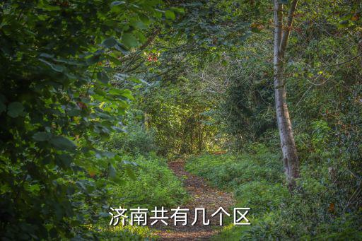 濟(jì)南共有幾個(gè)區(qū)