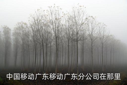 中國移動廣東移動廣東分公司在那里