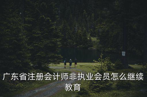 廣東省注冊會計師非執業會員怎么繼續教育