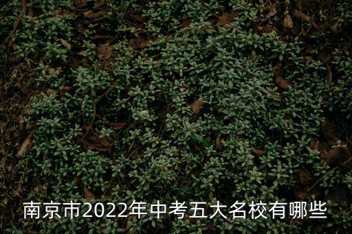玄武外國語學校，玄武外國語學校普通班和科利華實驗班級哪個好