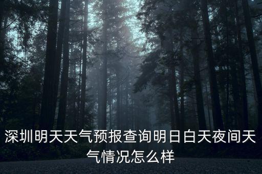 深圳明天天氣預報查詢明日白天夜間天氣情況怎么樣