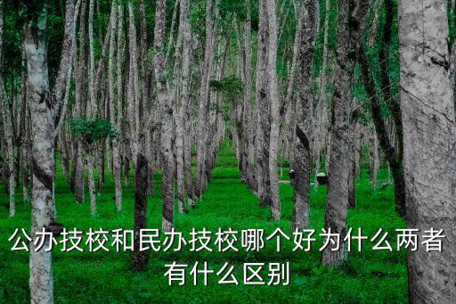 公辦技校和民辦技校哪個好為什么兩者有什么區別