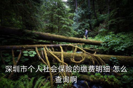 深圳社保個人查詢，怎么查深圳社保