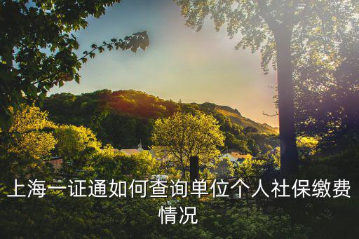 一證通查服務(wù)，上海一證通如何查詢單位個(gè)人社保繳費(fèi)情況