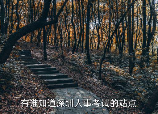 有誰知道深圳人事考試的站點