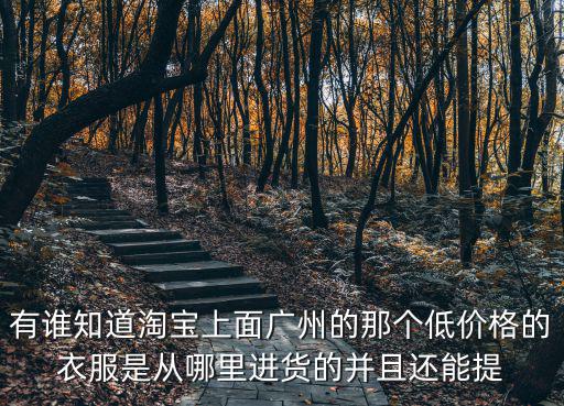 廣州天恩外貿(mào)服裝批發(fā)市場，廣州那些地方有韓國和日本時(shí)尚服裝批發(fā)