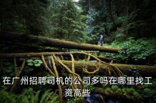 在廣州招聘司機的公司多嗎在哪里找工資高些