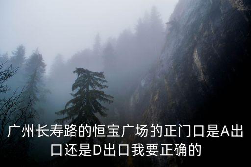 廣州長壽路的恒寶廣場的正門口是A出口還是D出口我要正確的