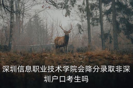 深圳信息職業技術學院會降分錄取非深圳戶口考生嗎
