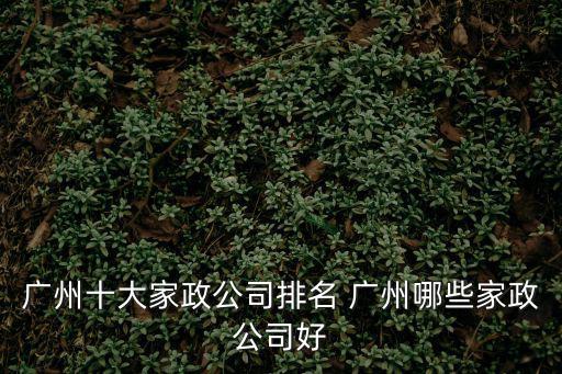 廣州家政公司，廣州家事無憂家政公司地址