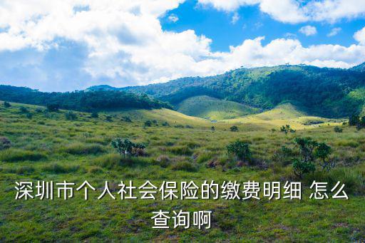 深圳市個人社會保險的繳費明細 怎么查詢啊