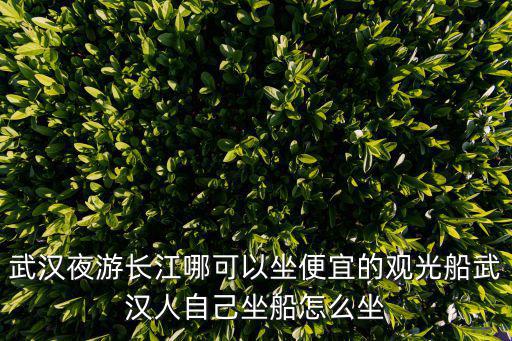 武漢夜游長江，武漢旅游年卡乘夜游長江游船需加什么費用
