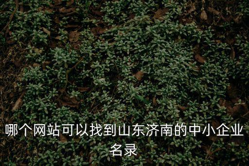 哪個網(wǎng)站可以找到山東濟南的中小企業(yè)名錄