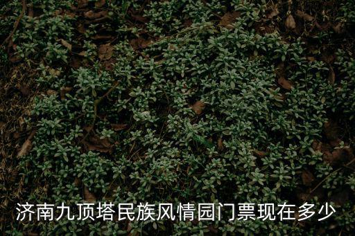 濟南九頂塔民族風情園門票現在多少