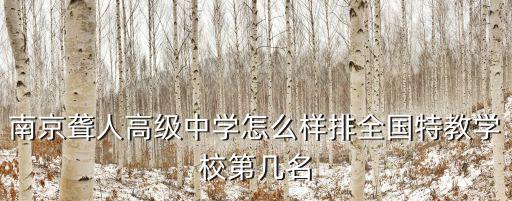 南京聾人高級中學(xué)，南京聾人高級中學(xué)怎么樣排全國特教學(xué)校第幾名