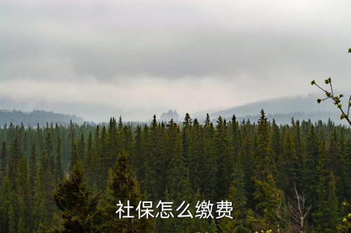 社保怎么繳費