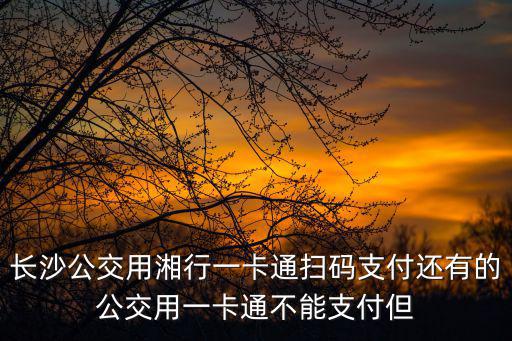 湘行一卡通下載，長沙101路公交車可以使用湘行一卡通app嗎