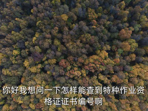 你好我想問一下怎樣能查到特種作業資格證證書編號啊