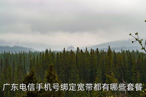 廣東電信手機(jī)號(hào)綁定寬帶都有哪些套餐