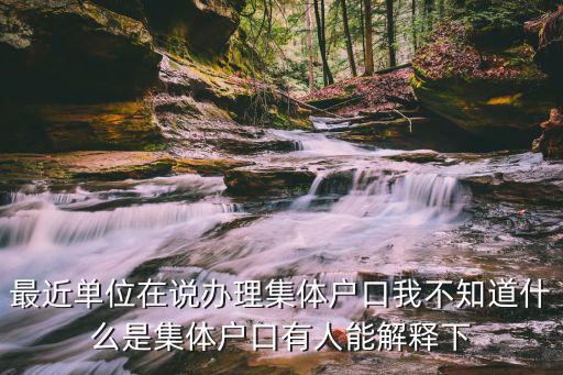 最近單位在說辦理集體戶口我不知道什么是集體戶口有人能解釋下