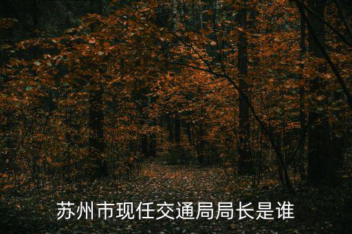 蘇州交通局，蘇州市現任交通局局長是誰