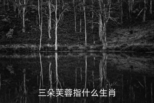 三朵芙蓉指什么生肖